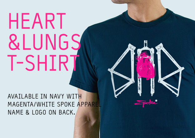 home-banner-heart-and-lungs