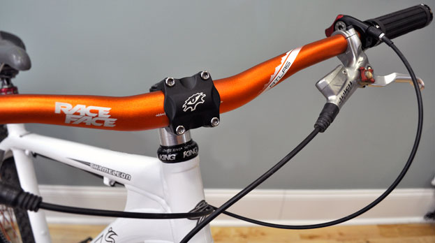 2011_santacruz_chameleon_bars_close 2011_santacruz_chameleon_bars_close